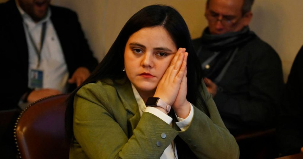 Pese a causas de VIF y ebriedad: Socialcristianos escudan candidatura de Jean Bonvallet