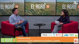 El Agro: Día Nacional del Vino y auge de las propiedades de conservación en Chile