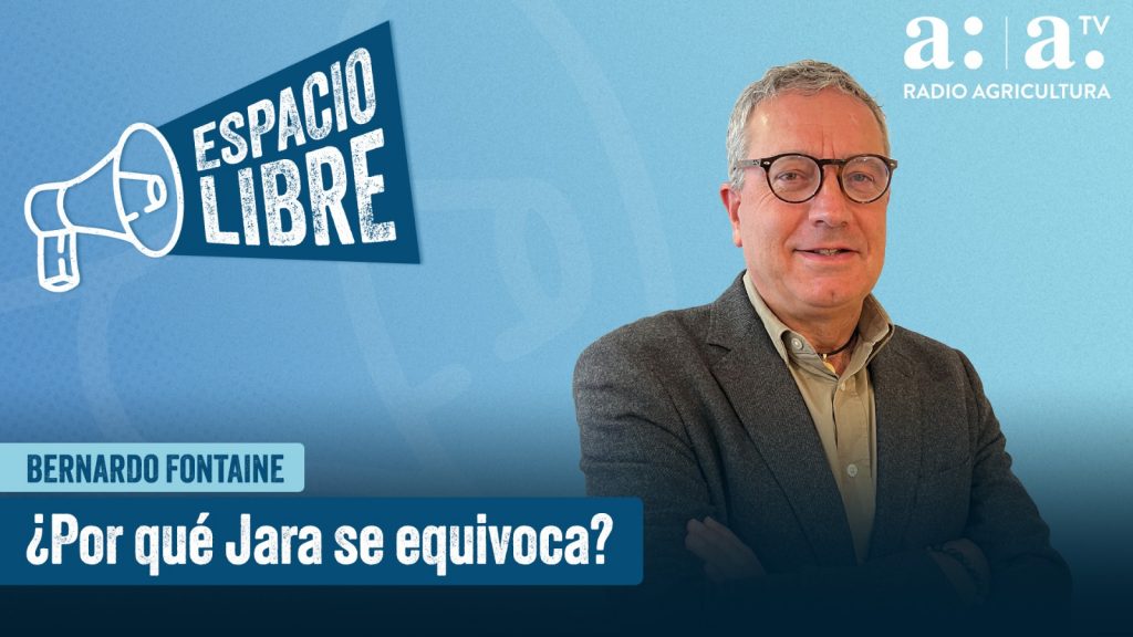Bernardo Fontaine en 