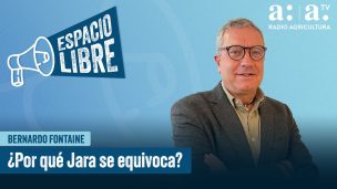 Bernardo Fontaine en