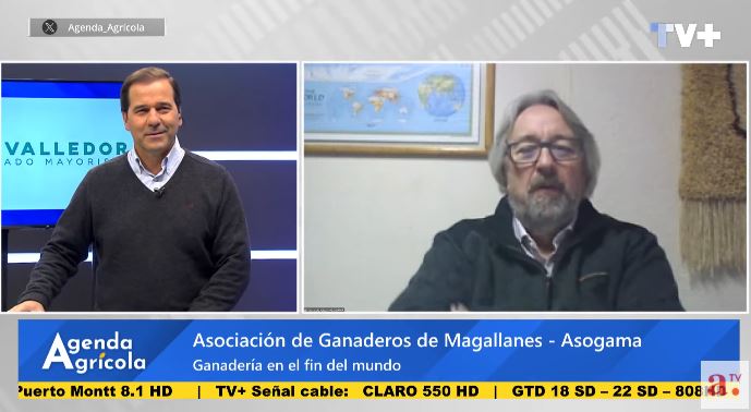 Agenda Agrícola: Expertos abordan desafíos ganaderos en Magallanes, horticultura nacional y avances en floración de carozos