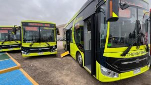 Arica suma la primera flota de buses eléctricos al transporte público: operarán desde este sábado
