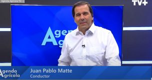 Agenda Agrícola: Innovación forestal,creatividad campesina y reciclaje en el agro