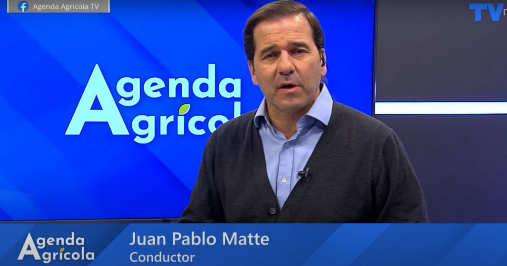Agenda Agrícola: Cadmio en paltas, comercio ilegal de fitosanitarios y desafíos en Copiapó