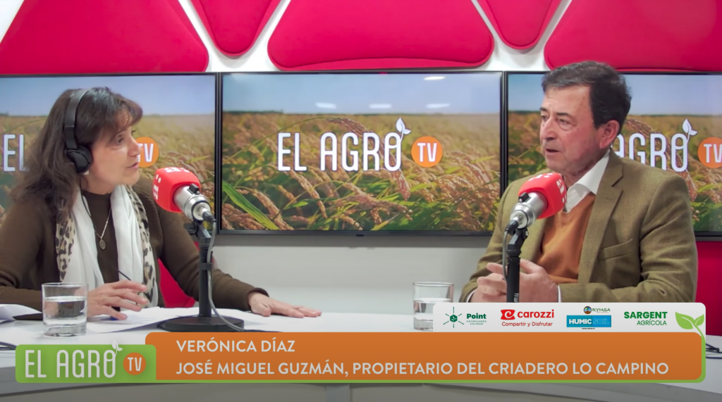 El Agro: José Miguel Guzmán y el desafío del caballo chileno rumbo al Mundial de Enganche 2027
