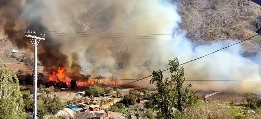 Senapred ordena evacuar sector Tres Cruces en Paihuano por incendio forestal