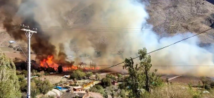 Senapred ordena evacuar sector Tres Cruces en Paihuano por incendio forestal