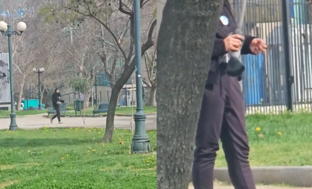 Denuncian caza de palomas en Providencia: 