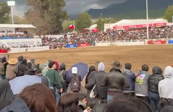 Caballo descontrolado provocó impactante caída de carabinero en el Parque Padre Hurtado