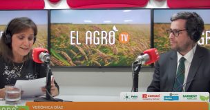 El Agro: Fiscal de la SNA explica la propuesta para formalizar a trabajadores extranjeros en el campo