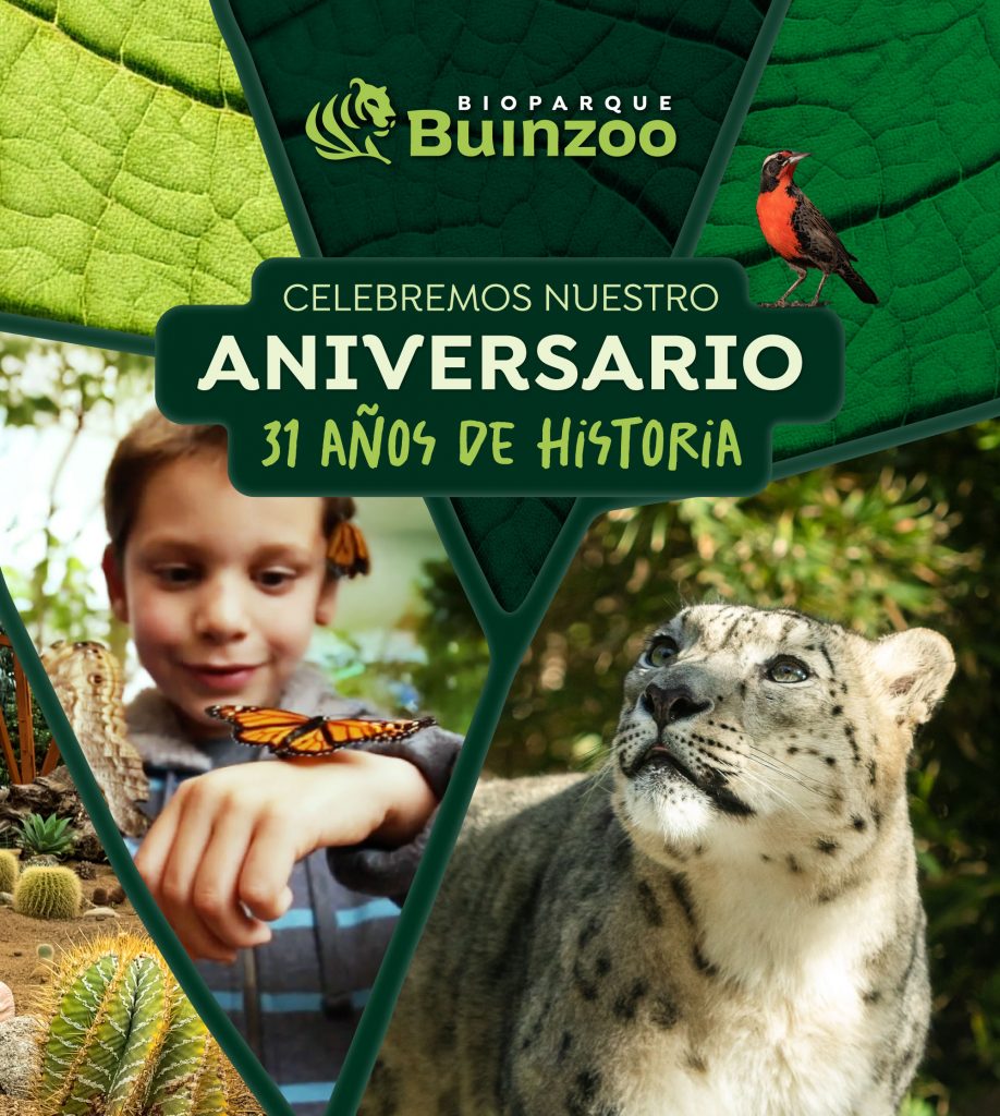 Bioparque Buinzoo cumple 31 años con sorpresas imperdibles para toda la familia