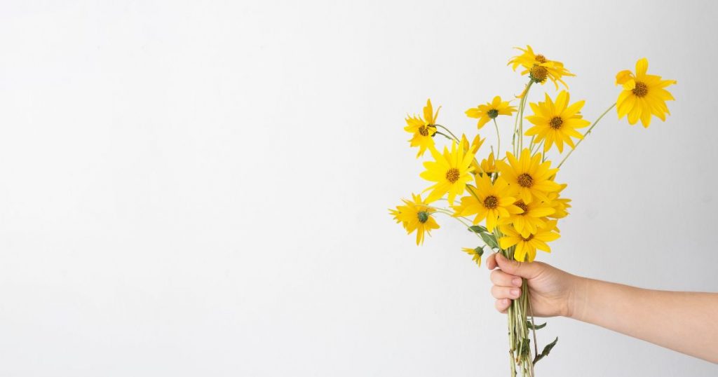¿Por qué se regalan flores amarillas en septiembre? La emotiva razón detrás de esta tradición