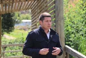 Alcalde de Vichuquén detenido por conducir bajo los efectos del alcohol