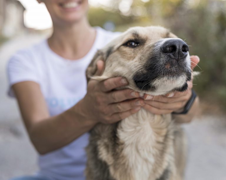 Polémica por influencer que dio wasabi a su perro: los riesgos de alimentar mascotas con comida humana