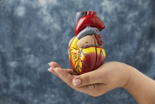 Día Mundial del Corazón: cómo prevenir enfermedades cardiovasculares