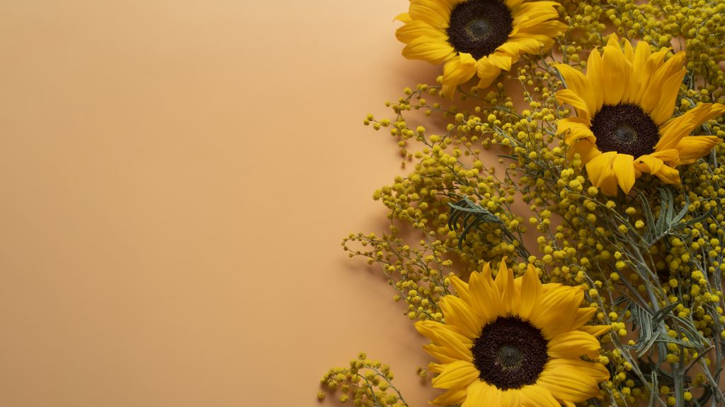 Flores amarillas: el gesto que marca el 21 de septiembre y su profundo simbolismo