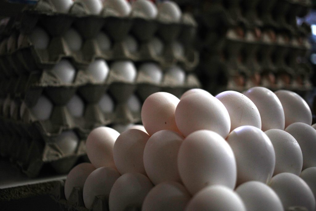 La producción de huevos de consumo presentó un aumento interanual de 3,9% en agosto