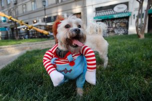 Halloween 2025: Los disfraces para niños y adultos que serán furor este año