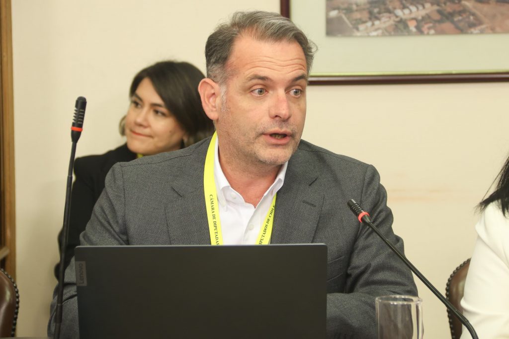Camilo Charme de Generadoras de Chile por error tarifario: 
