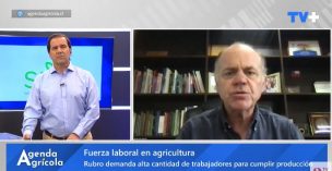 SNA llama a fortalecer el orden migratorio y proteger fuerza laboral del sector agrícola