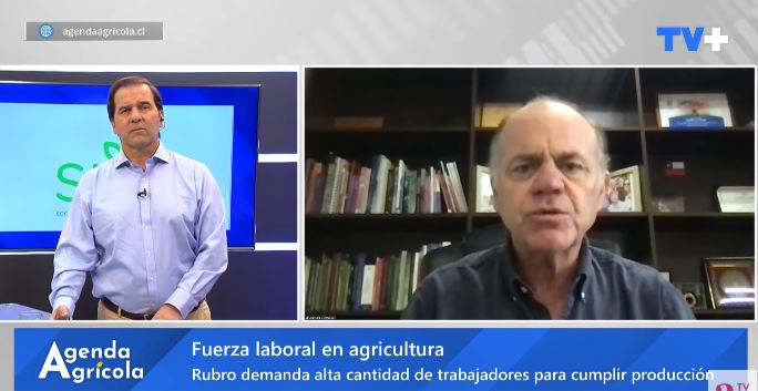 SNA llama a fortalecer el orden migratorio y proteger fuerza laboral del sector agrícola