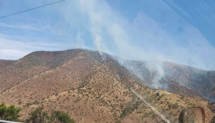 Enorme incendio forestal afecta a Curacaví: Bomberos combate la emergencia