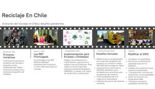 Ley REP: ajustar el rumbo para que Chile no pierda lo avanzado