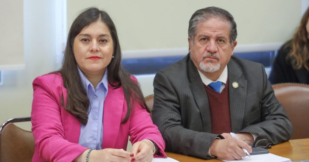 Diputados del Biobío llaman a transparentar cifras de pobreza infantil y piden acciones urgentes