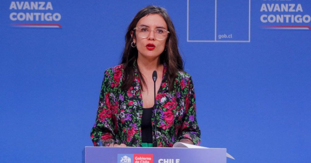 Ministra Vallejo ante posible AC contra Diego Pardow: