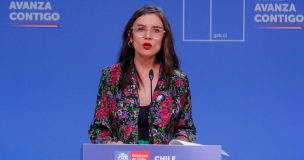 Ministra Vallejo ante posible AC contra Diego Pardow:
