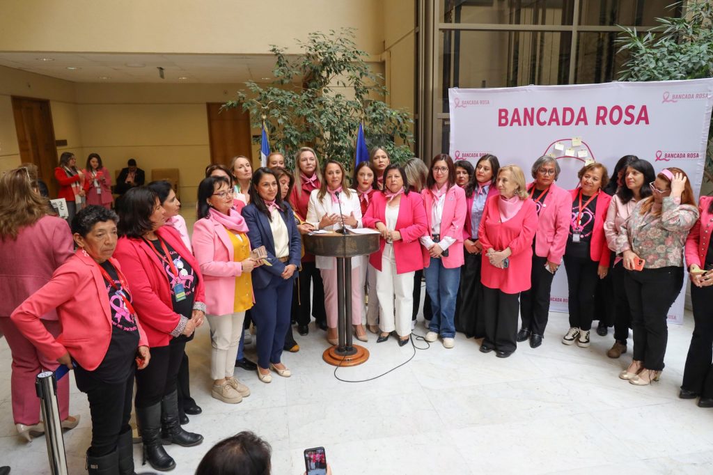 Bancada Rosa presenta balance a un año de su creación: Diputadas piden más equidad en salud