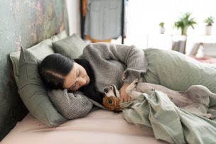 Más del 50% de los chilenos duerme con su mascota: ¿Beneficio o riesgo para el sueño?