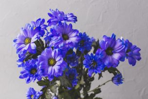 Flores azules el 3 de octubre: la tendencia que emociona a miles en redes sociales