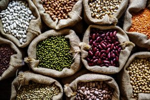 Saciar el hambre con proteína: descubre los alimentos ideales para no picar entre comidas