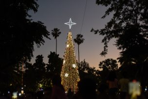 Fiestas de fin de año: consejos clave para celebrar sin estrés y con organización