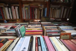 Feria del Libro de Maipú celebrará 20 años con una atractiva oferta familiar