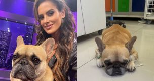 Adriana Barrientos vive angustia al máximo: su perrita Asia lucha por su vida tras compleja operación