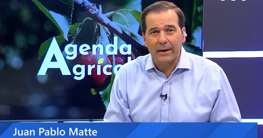 Agenda Agrícola: Avellano europeo, vinos ancestrales y vides resistentes