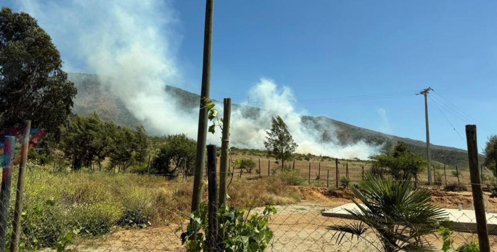 Hombre detenido en Limache por presunto incendio forestal causado por trabajo descuidado