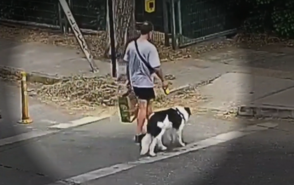 Abogado de Jorge Ugalde afirma que el perro alteró la escena del crimen por el triple homicidio en La Reina