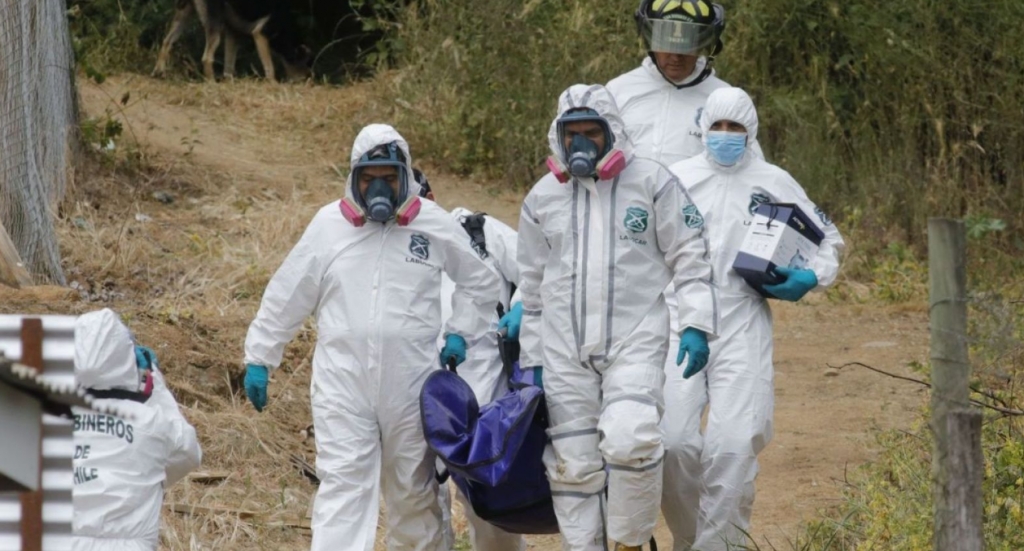 Osamentas halladas en San Vicente abren hipótesis de tercera víctima y posible casa de torturas