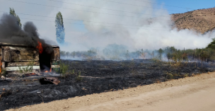 Incendio forestal desatado en Lo Herrera obliga a gran despliegue de Bomberos en San Bernardo