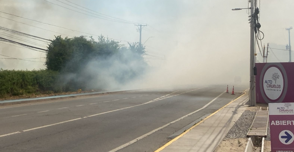 Alerta por visibilidad reducida en Buin debido a incendio forestal