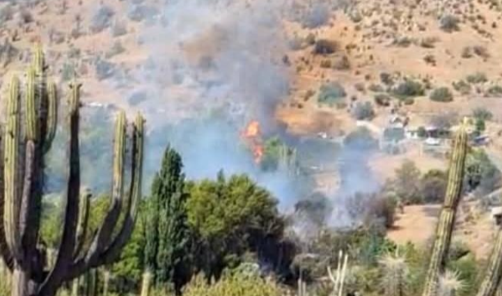 Alerta Roja en Combarbalá por incendio forestal: activan operativos de emergencia