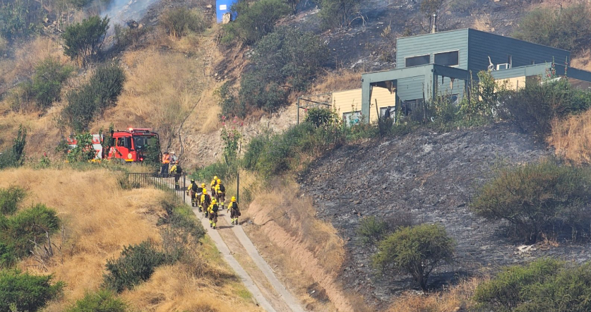 Incendio forestal en Talagante amenaza con afectar viviendas cercanas