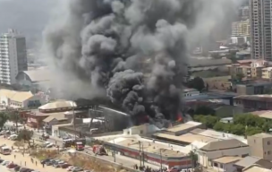 Más de 49 mil personas sin luz: Enorme incendio en Viña del Mar obliga a cortar suministro eléctrico