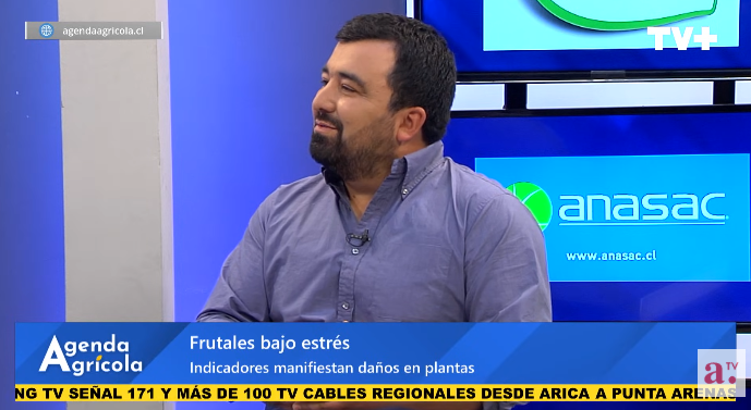 ANASAC aborda los efectos del estrés abiótico en frutales y entrega recomendaciones para mitigar su impacto