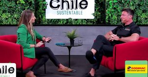 Giancarlo Petaccia en Chile Sustentable: 