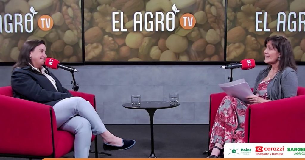 Situación y desafíos de la industria de la nuez: Arancel del 100% en India y campañas globales para posicionar el 