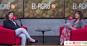 Situación y desafíos de la industria de la nuez: Arancel del 100% en India y campañas globales para posicionar el 